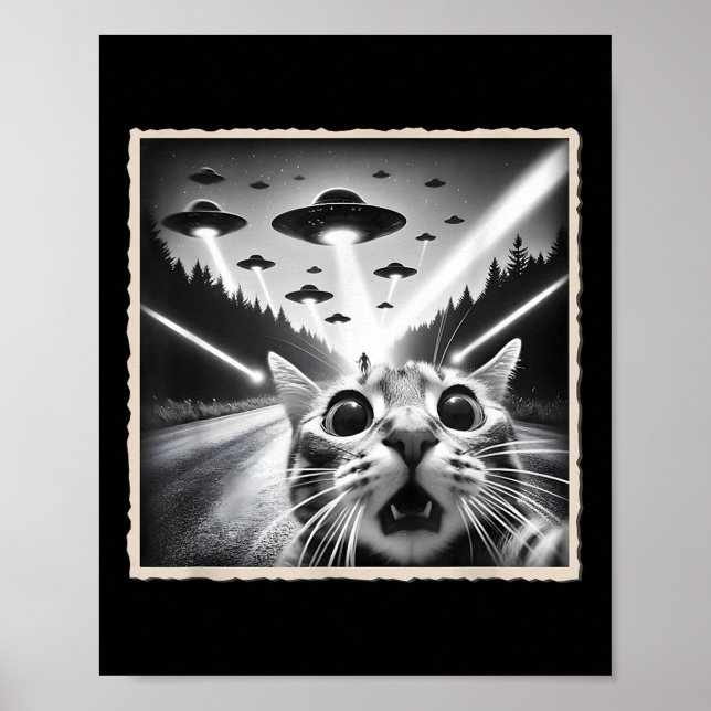 Poster Selfie de Gato Com Ovni _ Alien &amp; Gato Engraça (Frente)