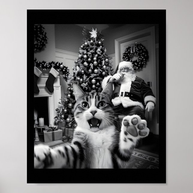 Poster Selfie De Gato Engraçado De Natal Com Papai Noel B (Frente)