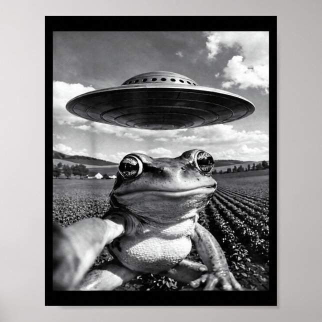Poster Selfie de Sapo com OVNI Sapo Engraçado Meme de Sap (Frente)