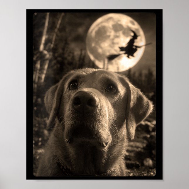 Poster Selfie Engraçado de Labrador Feminino Lua Cheia Vo (Frente)