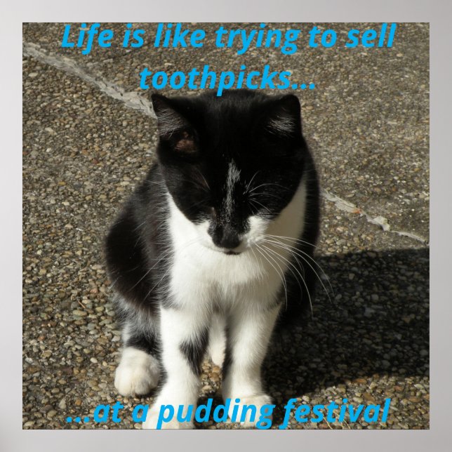 Poster Selling toothpicks at a pudding festival... (Frente)
