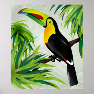 Poster Selva Toucan