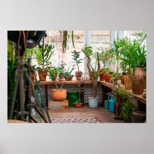 Poster Selva urbana. Jardim com plantas, flores.