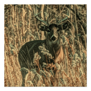 Pôster selvagem de camuflagem Camouflage veado-branco