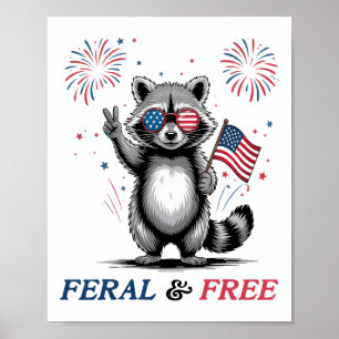 Poster Selvagem E Livre Raccoon Engraçado EUA Selvagem Ma
