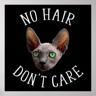 Poster Sem Cabelo Não se importa com Gato Sphynx engraç