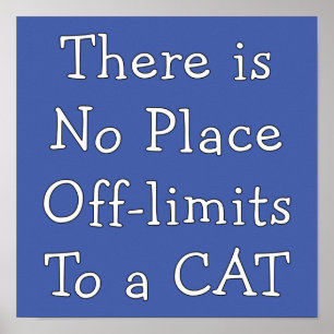 Poster Sem Colocação fora dos limites de um CAT