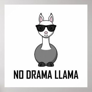 Pôster Sem drama Llama Óculos escuros