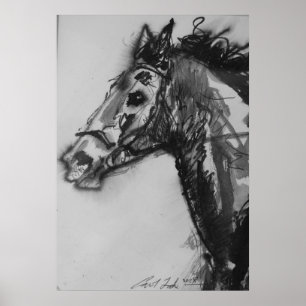 Pôster sem execução