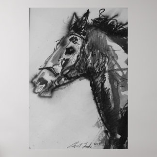 Pôster sem execução