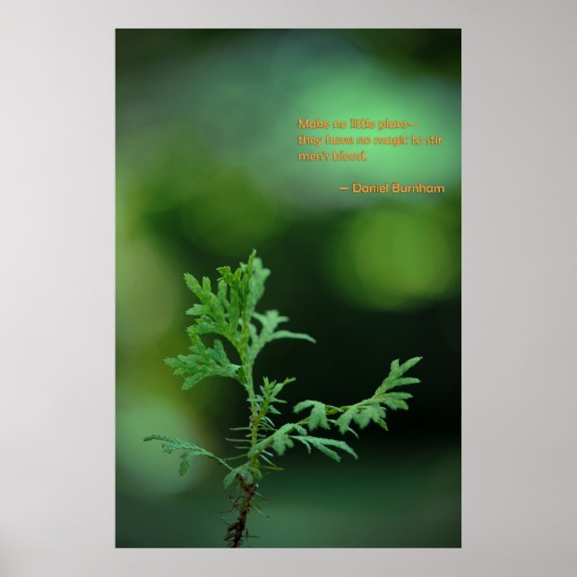 Poster Sem Pequenos Planos (Frente)