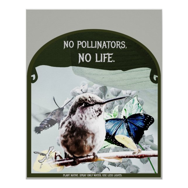 Pôster Sem Polinizadores, Sem Vida (Frente)