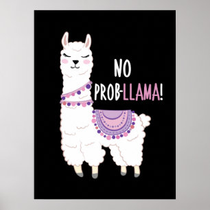 Poster Sem Probllama Llama