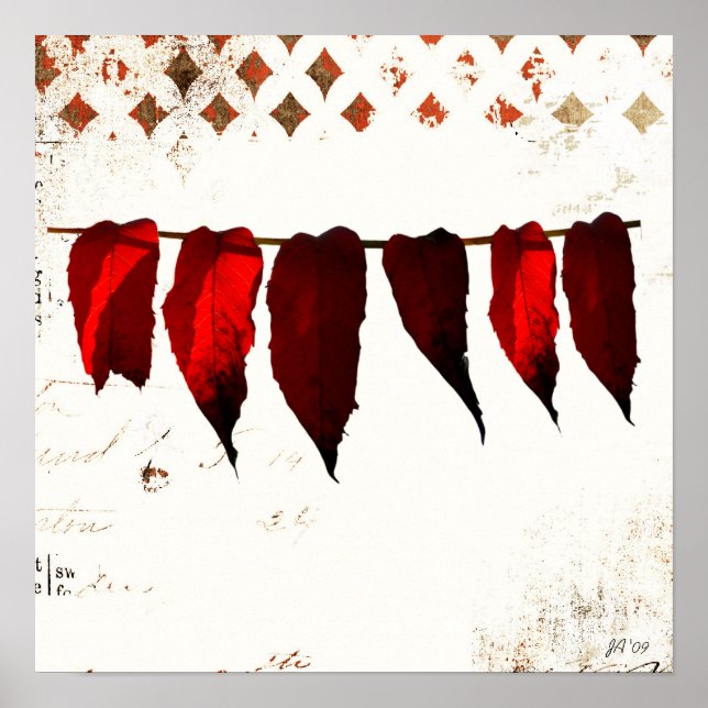 Pôster sem título (Frente)