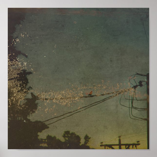 Pôster Sem título (Frente)