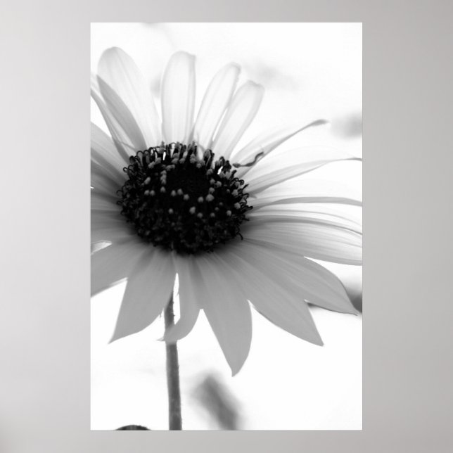 Poster sem título (Frente)