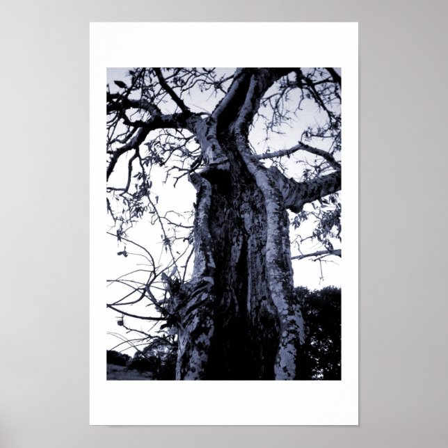 Pôster Sem título (Frente)