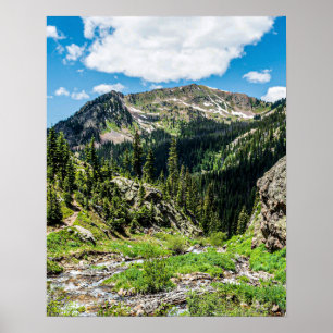 Poster Sem trilhos no topo // Beleza alegre