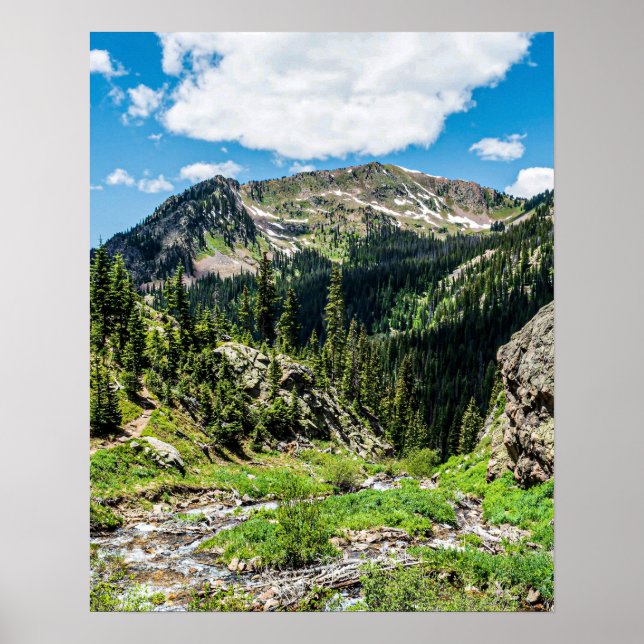 Poster Sem trilhos para o topo // Bela beleza (Frente)