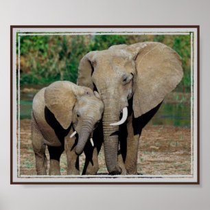 Poster Sempre por seu lado