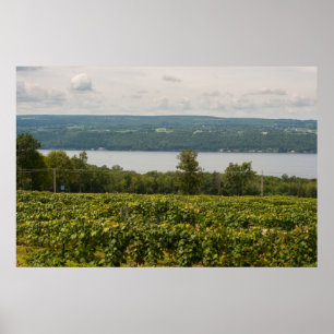 Poster Seneca Lake e Vineyards, Nova Iorque