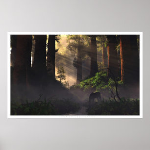 Pôster Senhor da floresta