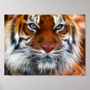 Poster Senhor das selvas indianas, o tigre de Bengal real