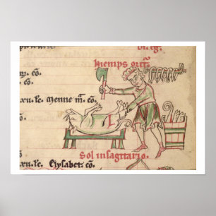 Pôster Senhora 54. f.6r novembro: Matando o porco, de um