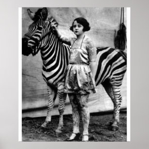 Pôster Senhora do Circo Tatuada e Zebra