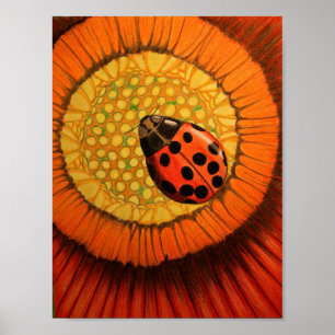 Poster Senhora vermelha Desinsetar Um Zinnia