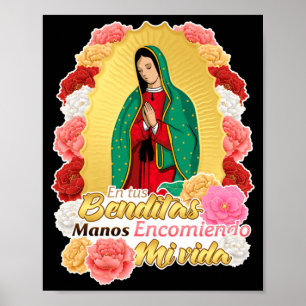 Poster Senhora Virgem De Guadalupe Santa Virgem Maria Ros