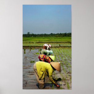 Pôster Senhoras no trabalho