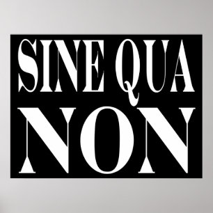 Pôster Seno - qua - citações Latin não famosas: Palavr