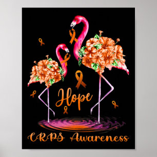 Poster Sensibilização do Flamingo CRPS