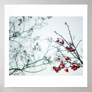 Pôster Sensibilização do primavera/Impressão das flore