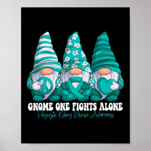 Poster Sensibilização Mês para a Doença Renal Gnomos da F
