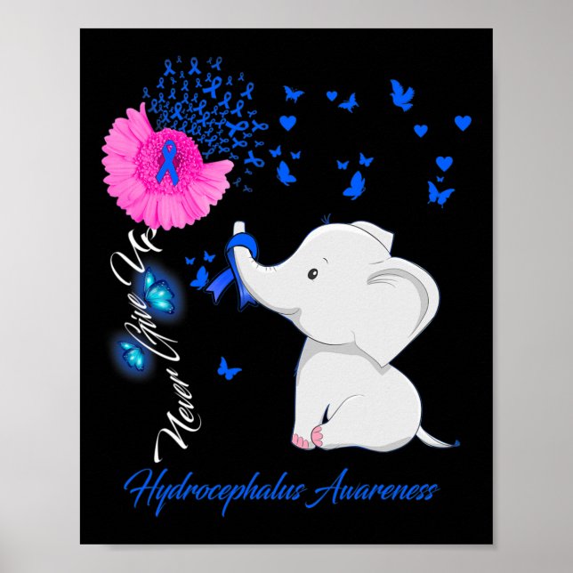 Poster Sensibilização para a Hidrocefalia - Faixa Hidroce (Frente)