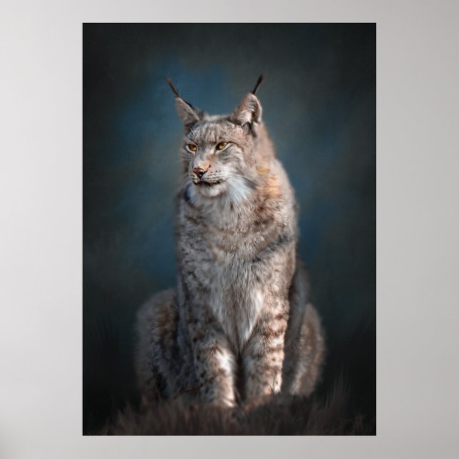 Poster Sentado lince iberiano (Frente)
