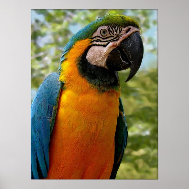 Poster Sentado Para Você (Frente)