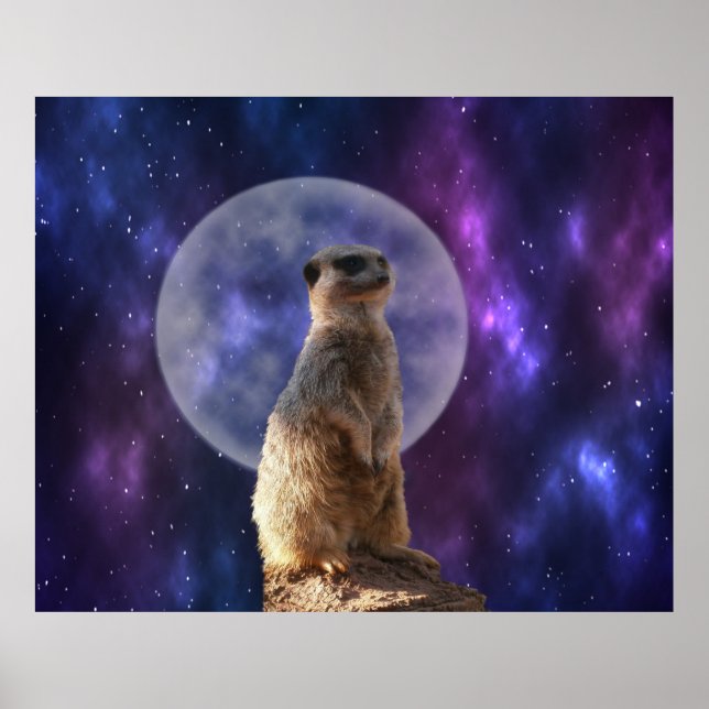 Poster Sentinela Cósmica: Meerkat embaixo da lua cheia (Frente)
