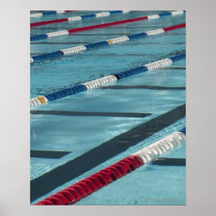 Poster Separadores de plástico numa piscina de natação cr