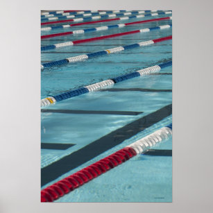 Pôster Separadores de plástico numa piscina de natação cr