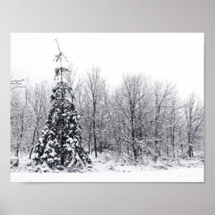 Poster separation with certainty