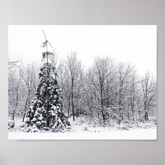 Poster separation with certainty (Frente)