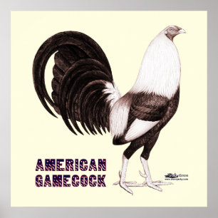 Poster Sepia do Gamecock