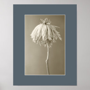 Poster Sepia Floral Portrait Photograph