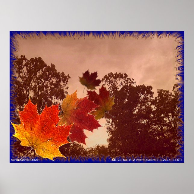 Pôster Sépia setembro (Frente)