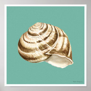 Poster Sepia Striped Shell on Teal