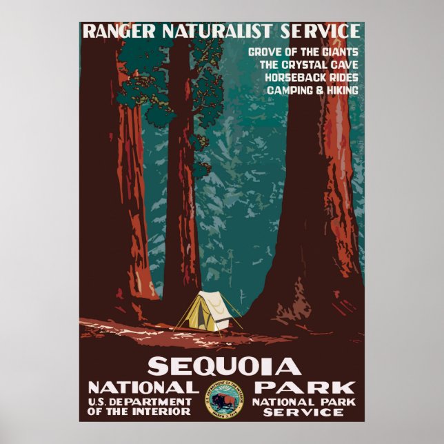 Poster Sequoia  (Frente)