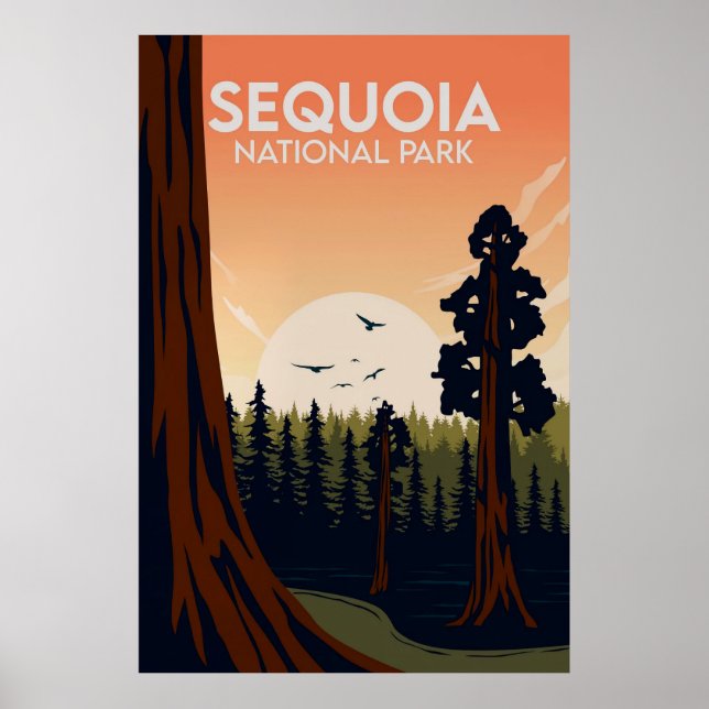 Poster Sequoia (Frente)